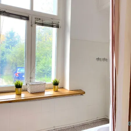 Homestay Stary Grun 515 P4 *